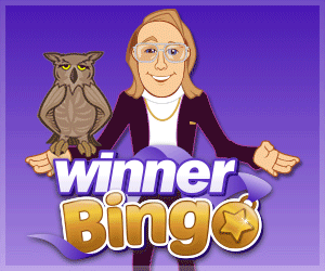 Winner Bingo 300x250